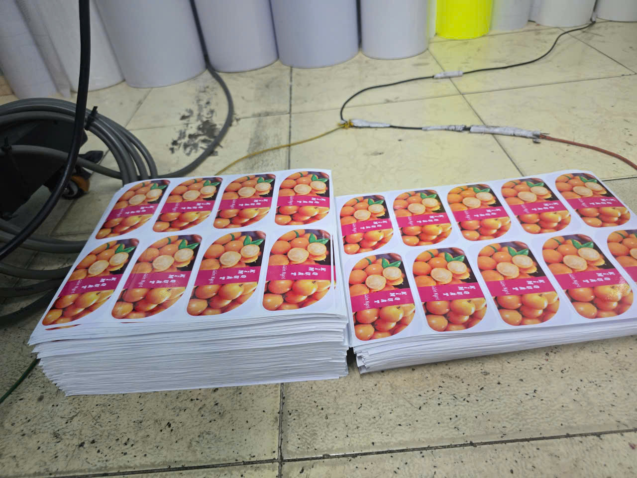 in tem nhãn mẫu 17